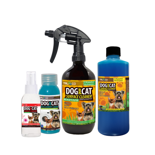 500ml CONCENTRATE Bundle