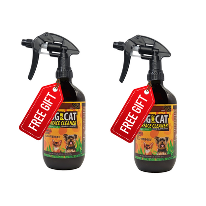 5 Litre Ready2use Surface Cleaner Promo (email)