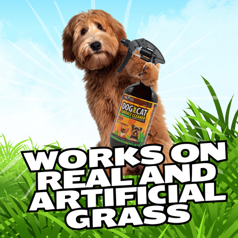 1L Concentrate Refill for Dog & Cat Urine Odour and Stain Remover - Pet-Safe Formula - Cost-Effective Solution - Powerful Cleaning Concentrate($3.50 per Litre Ready2use)