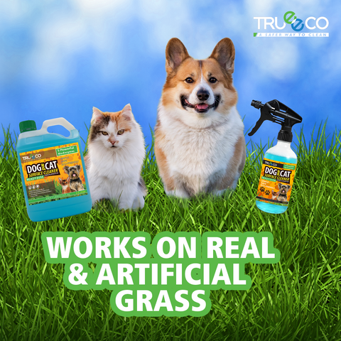 2.5L Combo Surface Cleaner & Sanitiser Ready2use