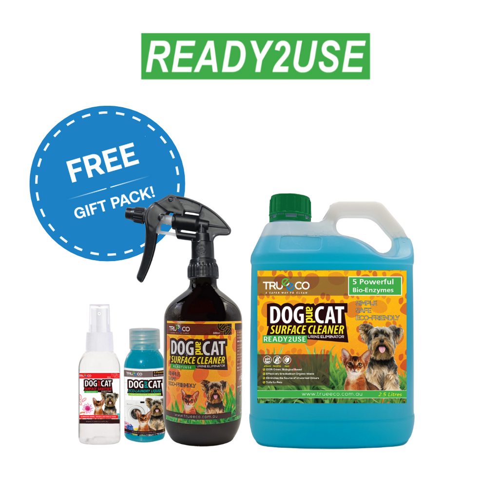 2.5L Starter Value Pack Ready2use
