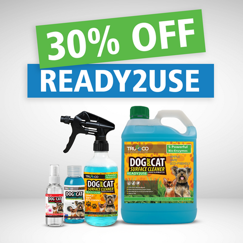 2.5L Starter Pack Ready2use FBO30