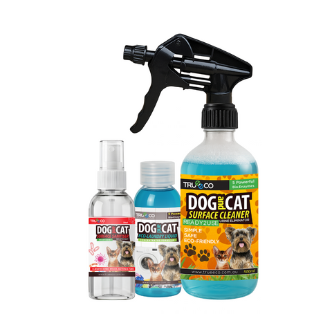 2.5L Starter Pack Ready2use FBO30