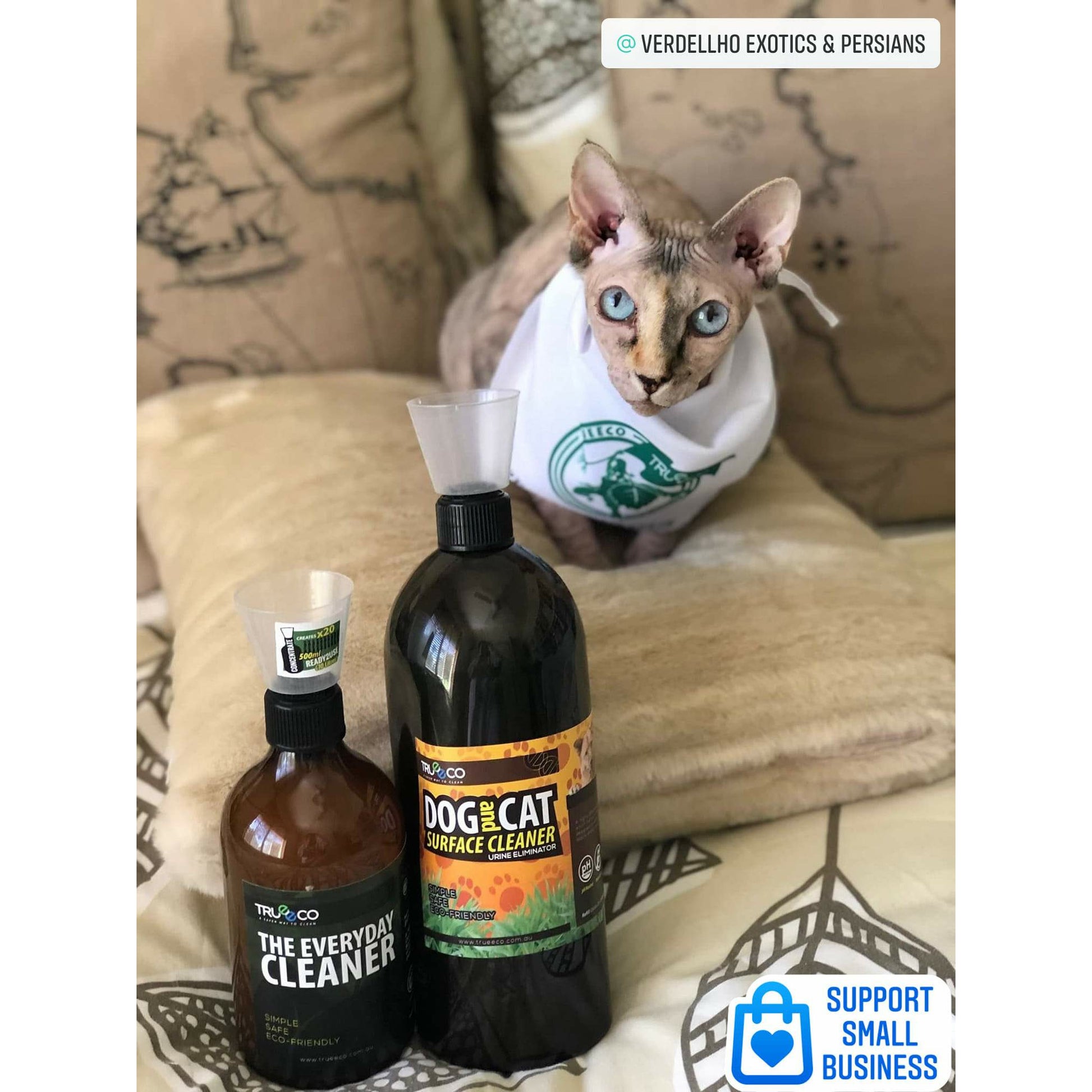 TrueEco Friendly Carton of x10 1 Litre Concentrate Refill Dog & Cat Urine Odour and Stain Remover - TRUEECO