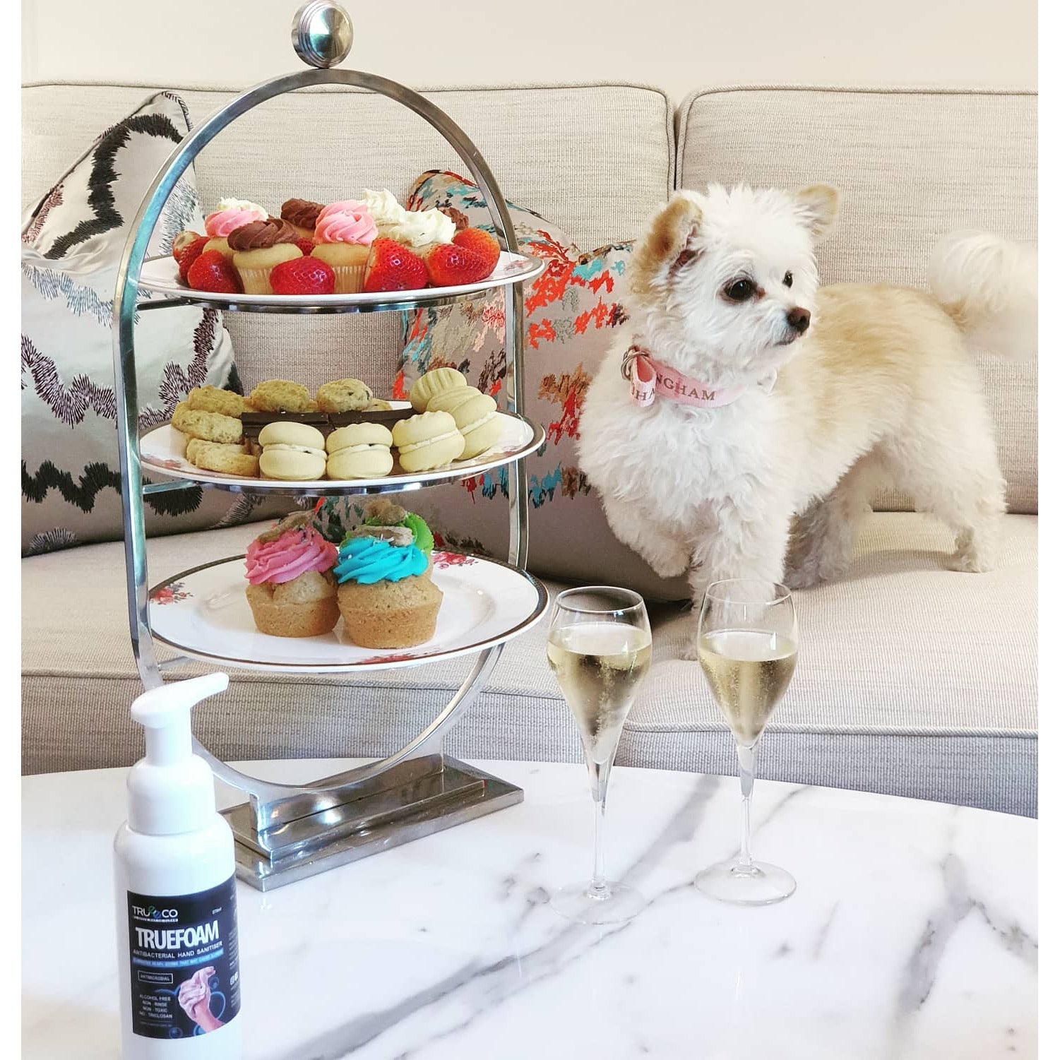 375ml TRUEFOAM  READY2USE - TRUEECO