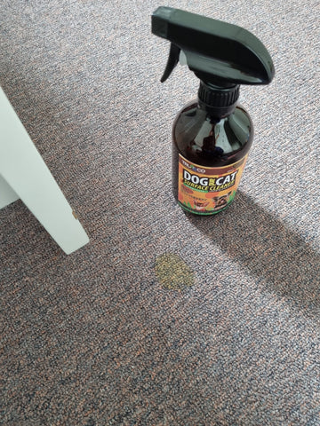 Dog & Cat urine odour and stain remover pet safe - TRUEECO - Australia